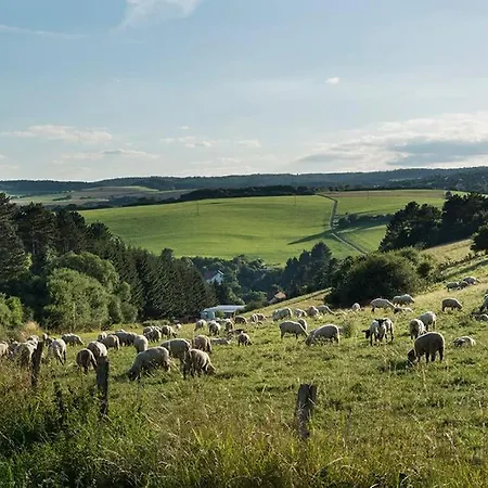 Appartement Zum Goldenen Schaf Ii *