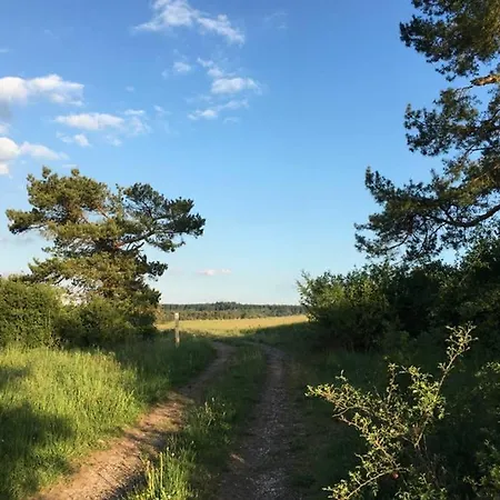 Zum Goldenen Schaf Ii