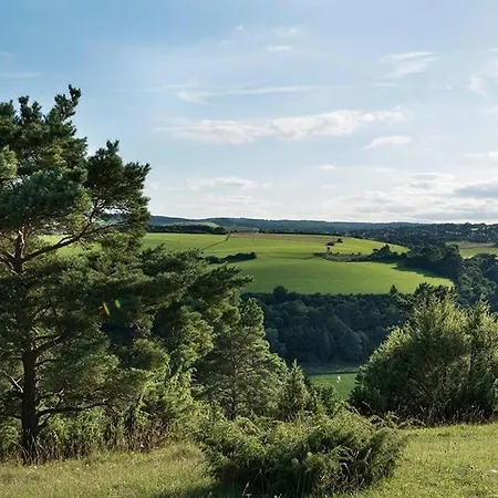 Zum Goldenen Schaf Ii