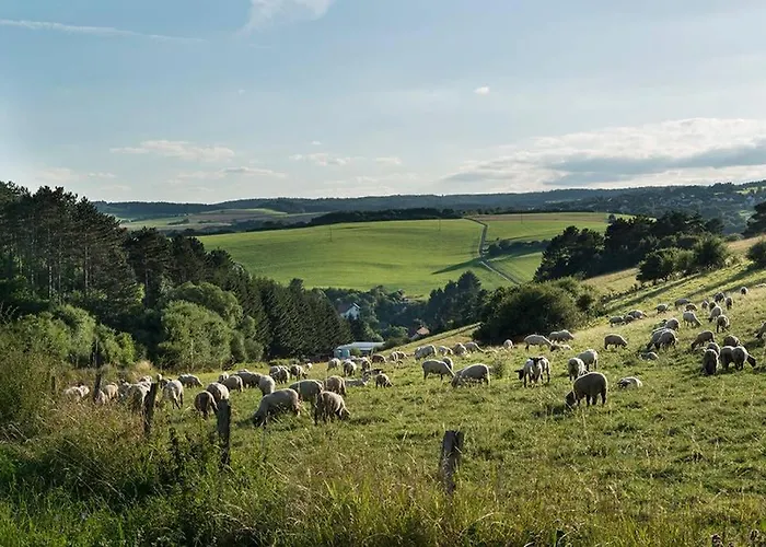 아파트 Zum Goldenen Schaf Ii *