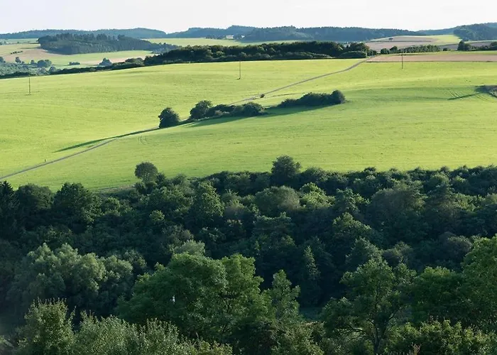 Zum Goldenen Schaf Ii