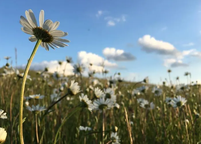 شقة Zum Goldenen Schaf Ii Ahrdorf