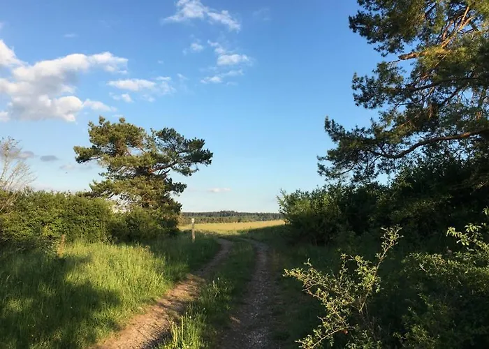 Zum Goldenen Schaf Ii