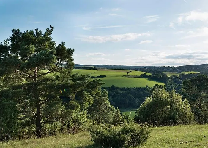 Zum Goldenen Schaf Ii